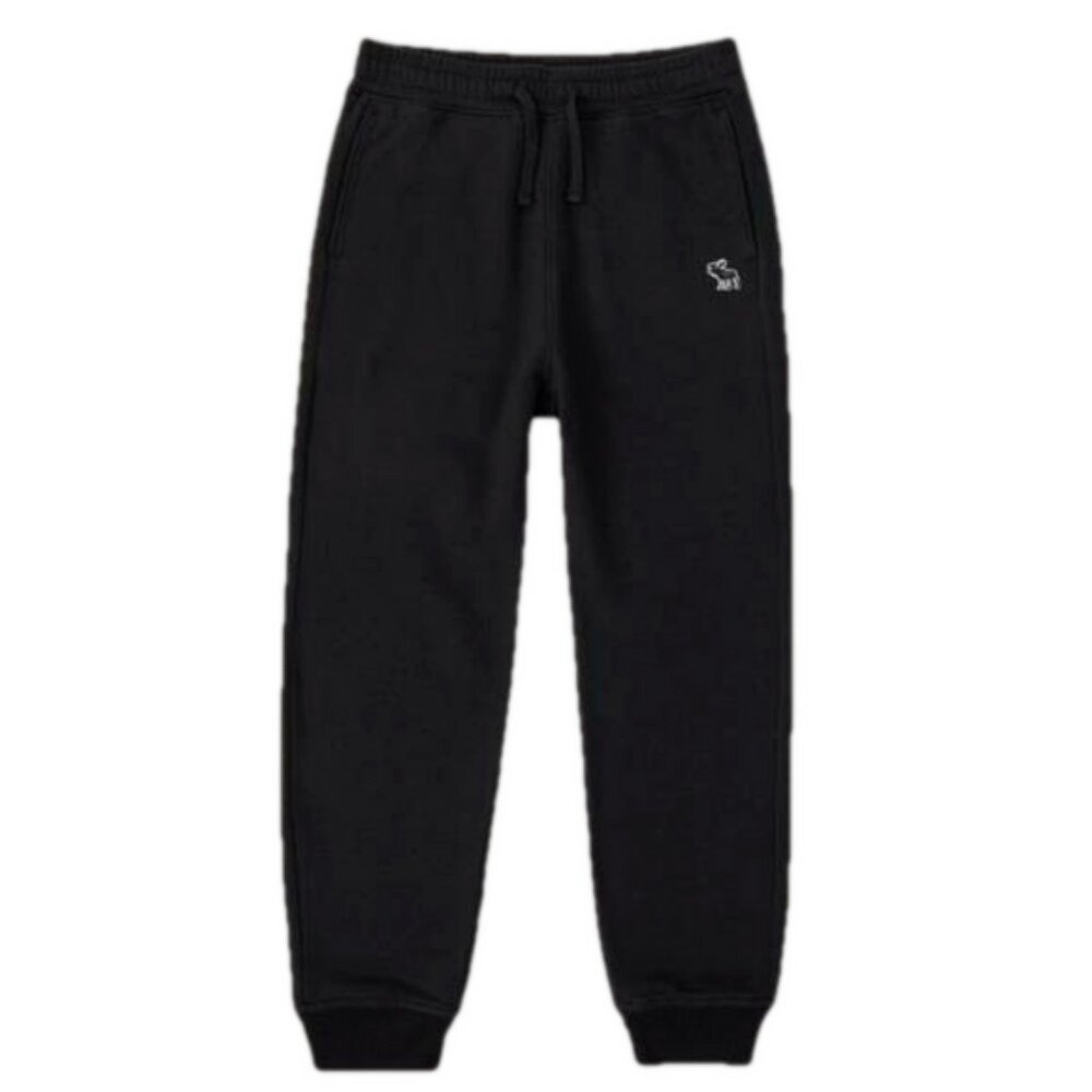 Abercrombie  Fitch Kids Activewear Athletic Drifit Elastic Waist Jogging Pants
